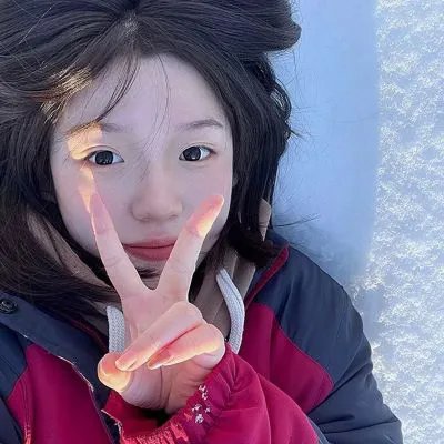 高卢英雄：魔法的秘密